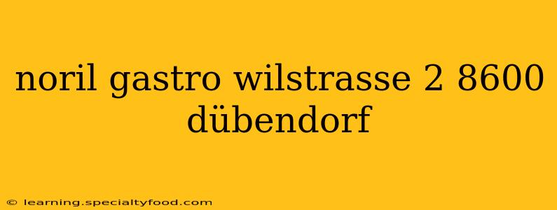 noril gastro wilstrasse 2 8600 dübendorf