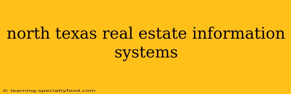 north texas real estate information systems
