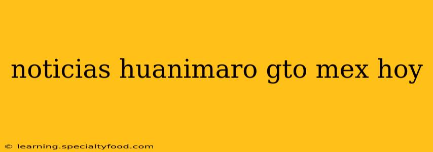 noticias huanimaro gto mex hoy