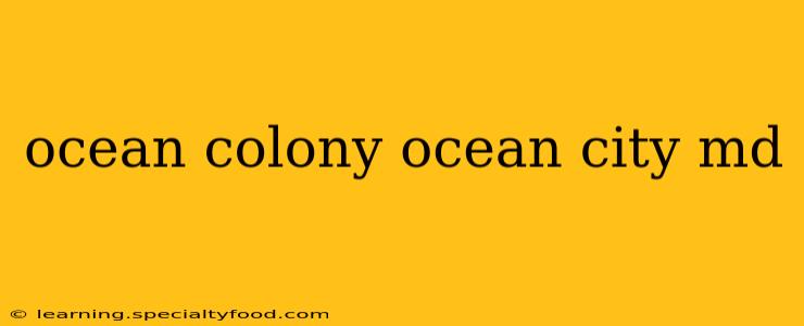 ocean colony ocean city md