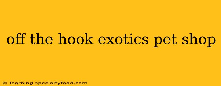 off the hook exotics pet shop