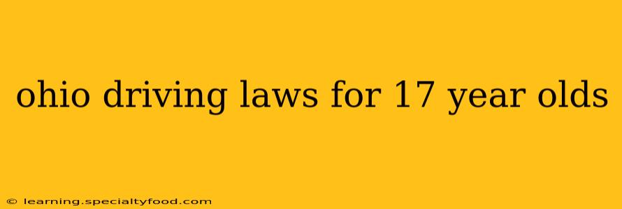 ohio driving laws for 17 year olds