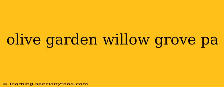 olive garden willow grove pa