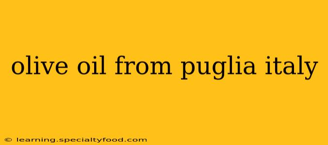 olive oil from puglia italy