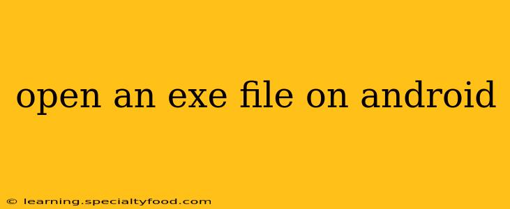 open an exe file on android