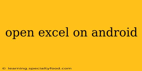 open excel on android
