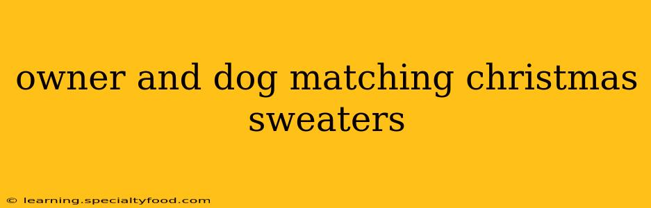 owner and dog matching christmas sweaters