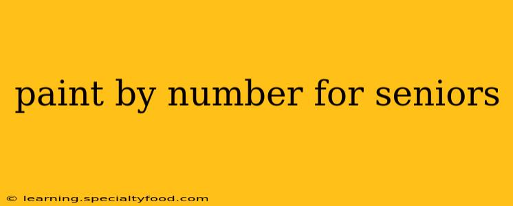 paint by number for seniors