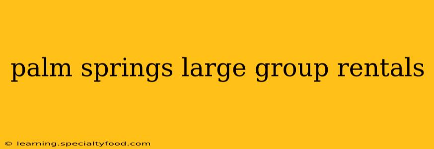 palm springs large group rentals
