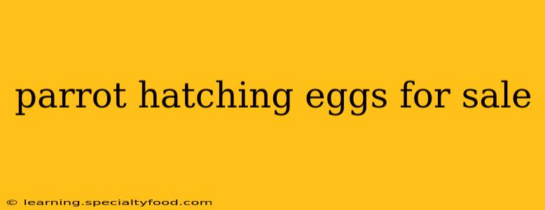 parrot hatching eggs for sale