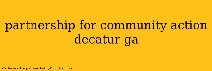 partnership for community action decatur ga