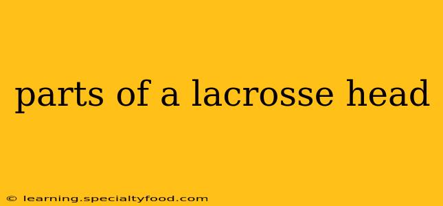 parts of a lacrosse head