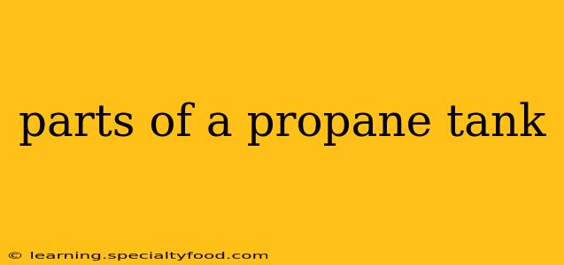 parts of a propane tank