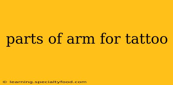 parts of arm for tattoo