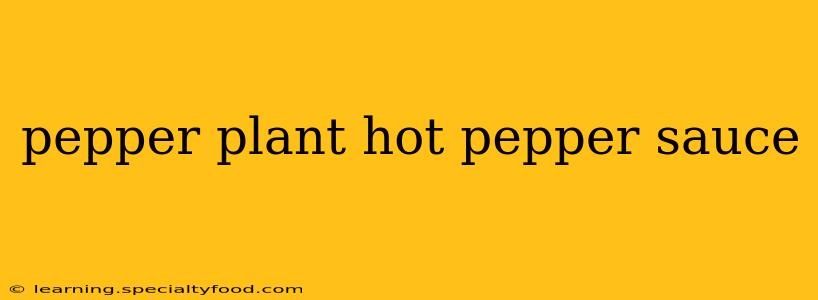 pepper plant hot pepper sauce