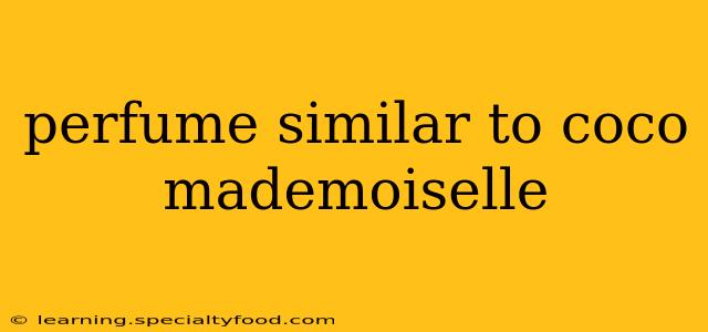 perfume similar to coco mademoiselle