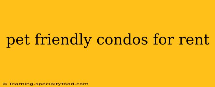 pet friendly condos for rent