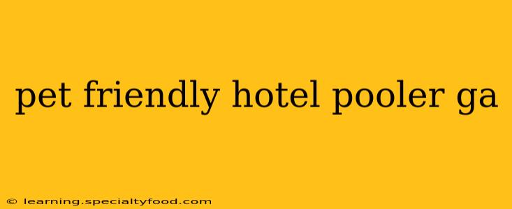pet friendly hotel pooler ga