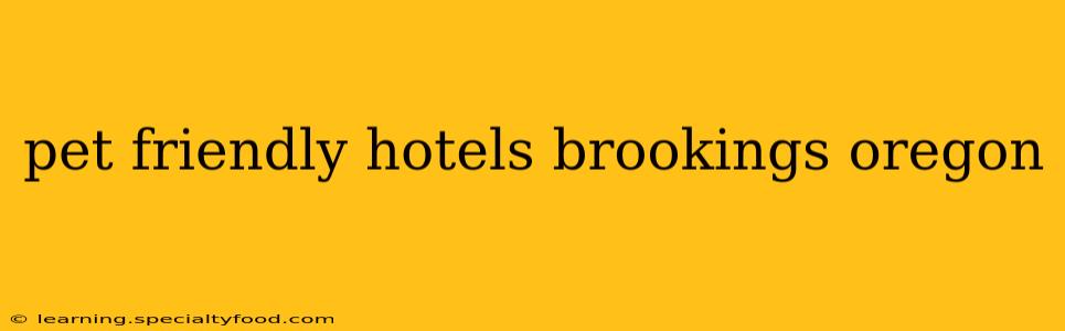 pet friendly hotels brookings oregon