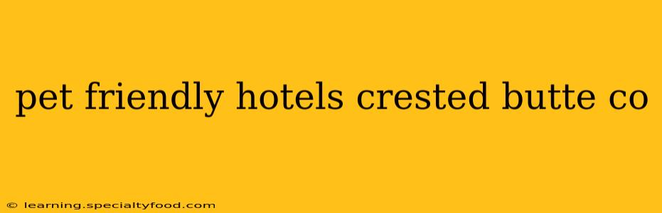 pet friendly hotels crested butte co