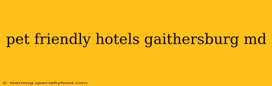 pet friendly hotels gaithersburg md