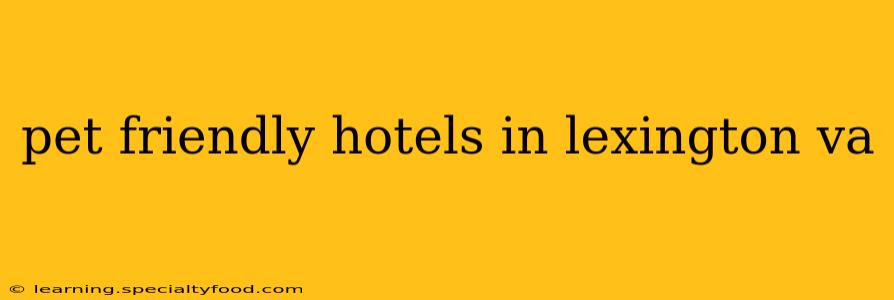 pet friendly hotels in lexington va