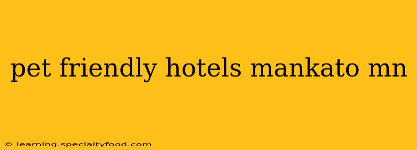 pet friendly hotels mankato mn