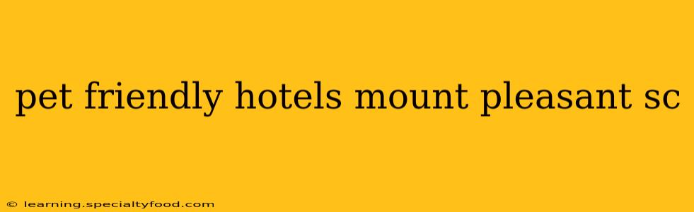 pet friendly hotels mount pleasant sc