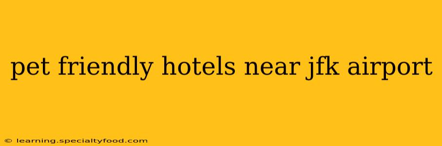 pet friendly hotels near jfk airport