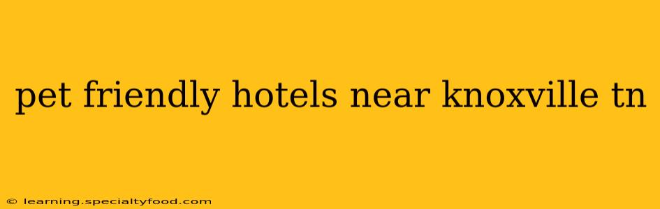 pet friendly hotels near knoxville tn