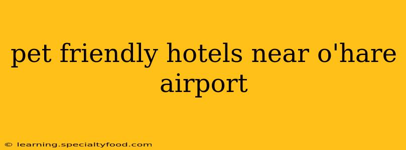 pet friendly hotels near o'hare airport