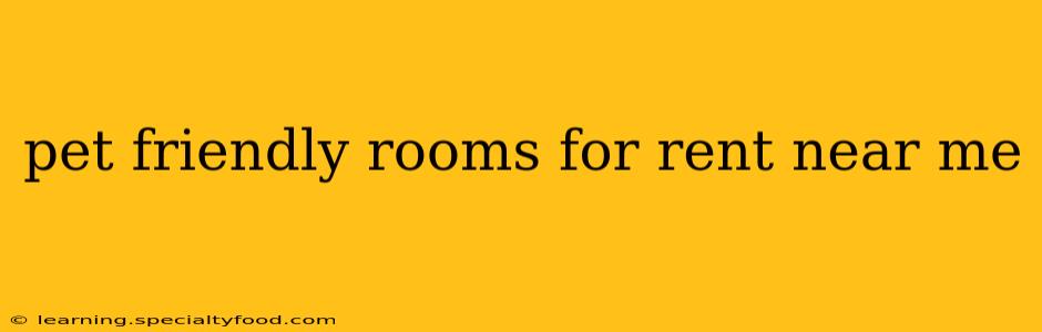 pet friendly rooms for rent near me