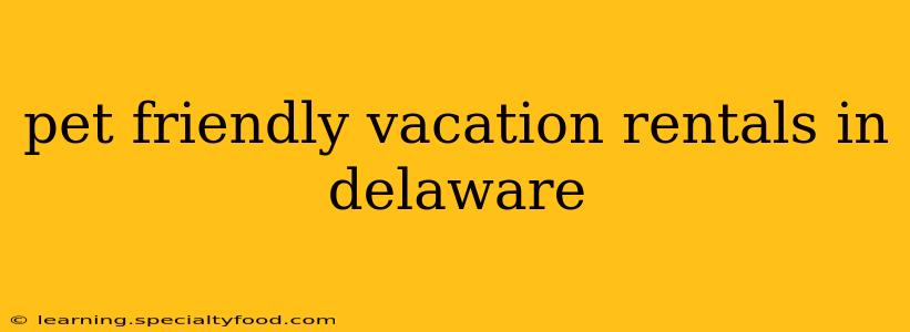 pet friendly vacation rentals in delaware