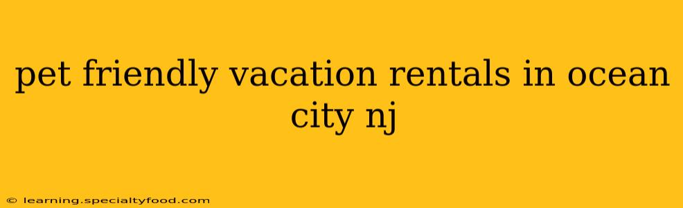 pet friendly vacation rentals in ocean city nj