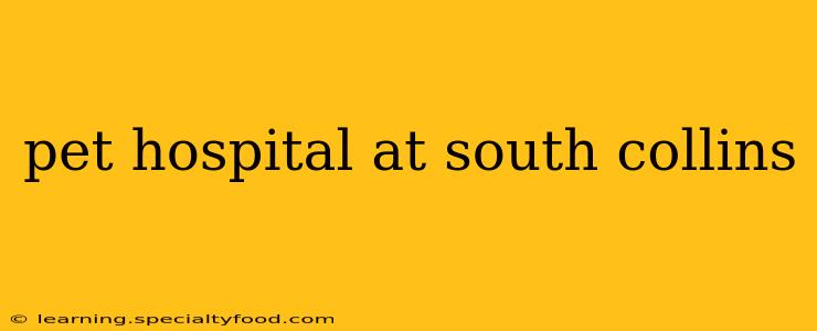 pet hospital at south collins
