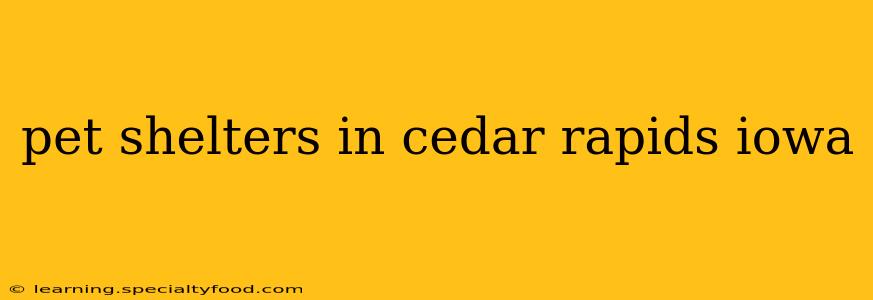 pet shelters in cedar rapids iowa