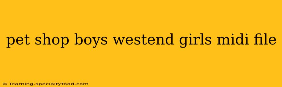 pet shop boys westend girls midi file