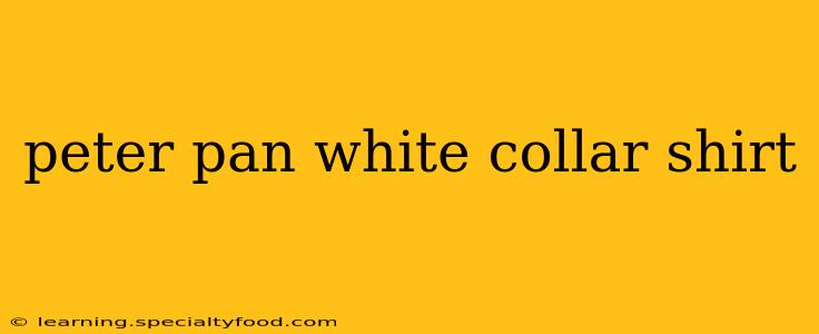 peter pan white collar shirt