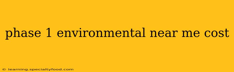 phase 1 environmental near me cost