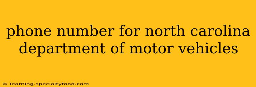 phone number for north carolina department of motor vehicles