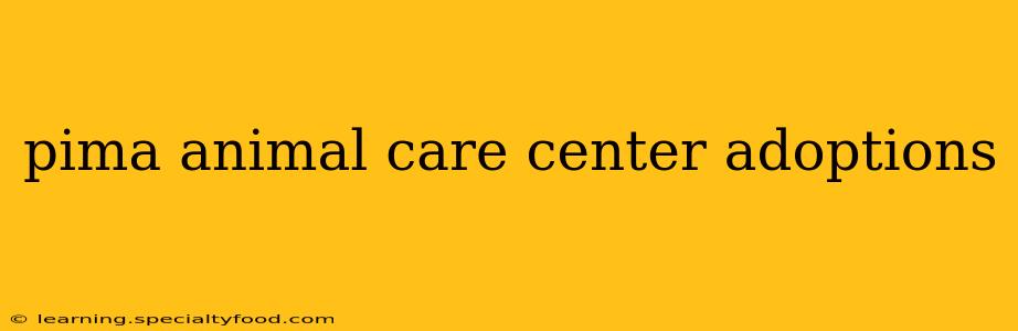 pima animal care center adoptions