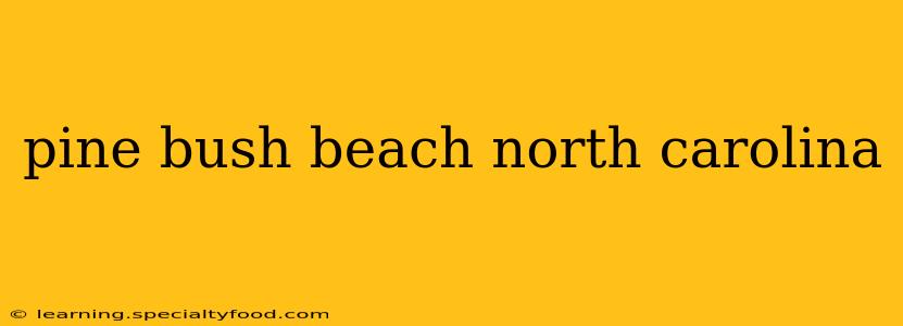pine bush beach north carolina