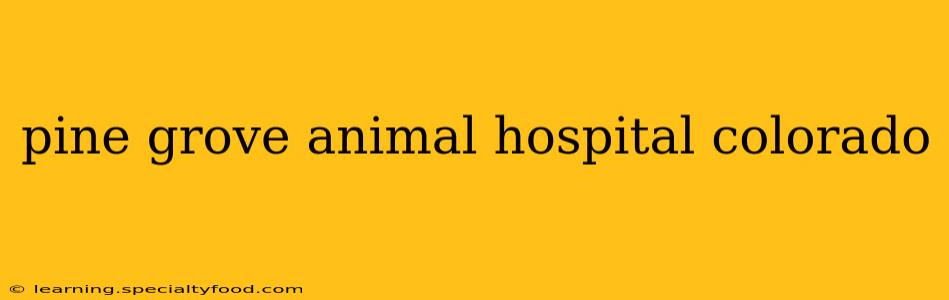 pine grove animal hospital colorado