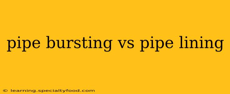 pipe bursting vs pipe lining