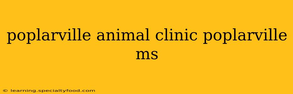 poplarville animal clinic poplarville ms