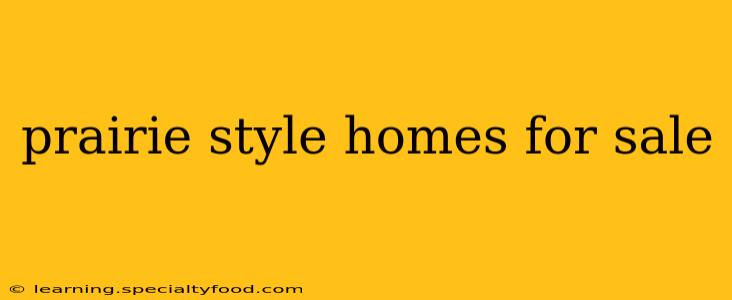 prairie style homes for sale