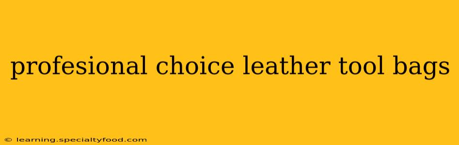 profesional choice leather tool bags