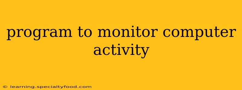 program to monitor computer activity