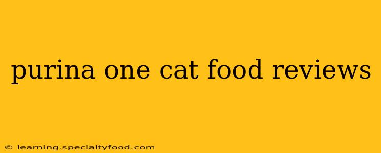 purina one cat food reviews