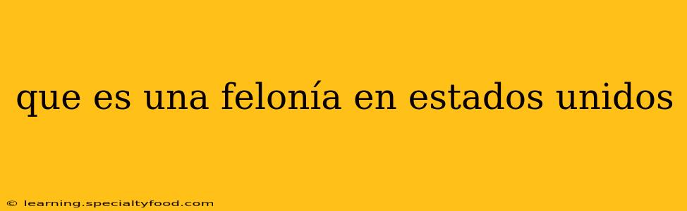 que es una felonía en estados unidos